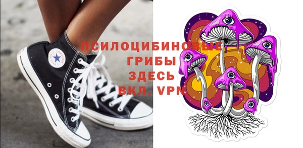 гашик Зеленодольск