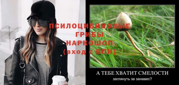 гашик Зеленодольск