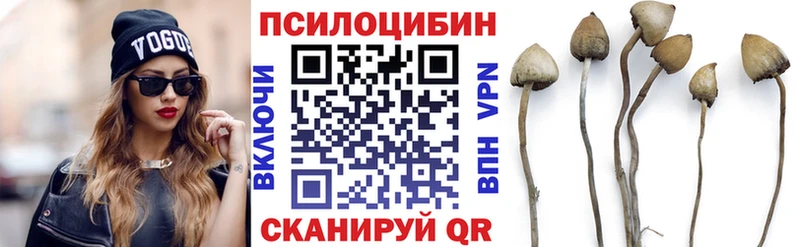 Псилоцибиновые грибы MAGIC MUSHROOMS  Купить закладки  Прокопьевск 